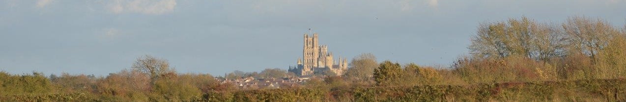 Ely Cathedral in the distance over trees