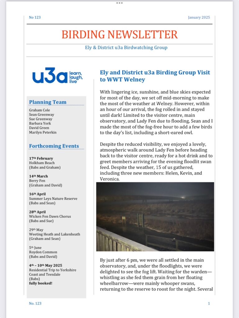 Birding newsletter front page